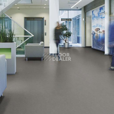 Forbo Marmoleum Decibel on Order 370535 meteorite фото 2 | FLOORDEALER